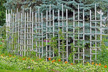 Wooden fence in the city park on a summer day