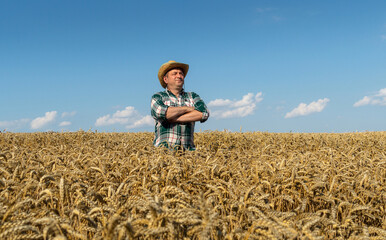 Naklejka na ściany i meble Portrait of a farmer in a straw hat standing in a wheat field. Checking and inspecting wheat before harvest