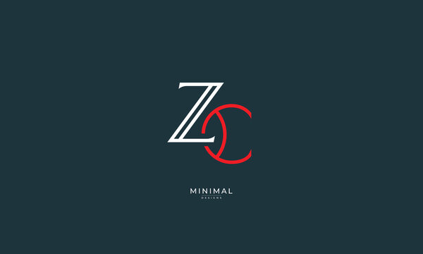 チャングンソク zikzin公式 Zロゴ スワロフスキー ブローチ
