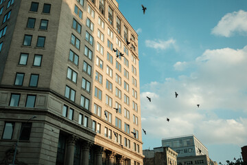Fototapeta premium Birds flying around in Soho, Manhattan, New York