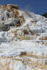 Mammoth hot spring Yellowstone 