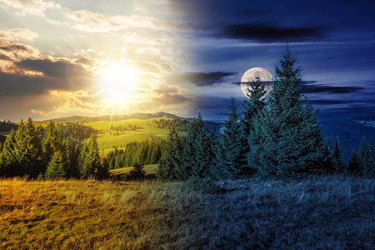 Autumn landscape in mountains of Romania with sun and moon at twilight. Conifer forest on hillsides of Apuseni National Park. day and night time change concept. mysterious scenery in morning light
