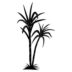 silhouette of a sugarcane