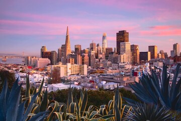 Scenic view of San Francisco cityscape at pink sunset in California