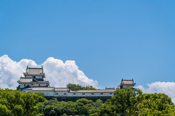 Wakayama castle is Japanese antique architecture castle with sunny blue sky background, Wakayama city, Japan
