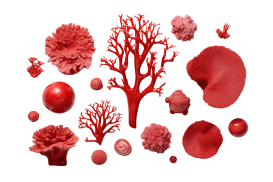 Glistening red corals with varied appearances in their natural form, captured in close proximity on a plain white backdrop. Isolated accessories showcasing their shimmering effect.