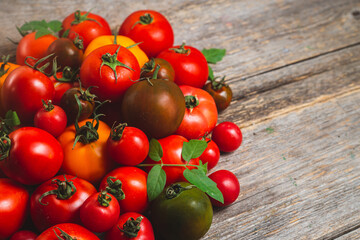 Tomatoes of different colors and varieties close-up