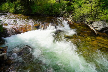 Clear creek brook river at Grand Teton National Park in early summer, Wyoming, USA