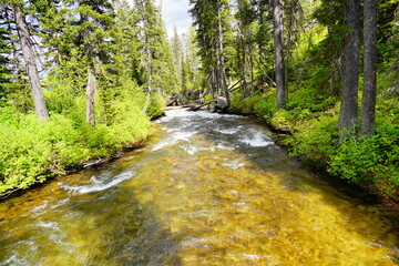 Obraz premium Clear creek brook river at Grand Teton National Park in early summer, Wyoming, USA