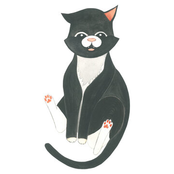 Watercolor illustration of a sitting black cat.Hand drawn isolated on a transparent background