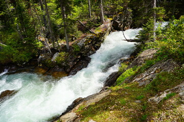 Clear creek brook river at Grand Teton National Park in early summer, Wyoming, USA