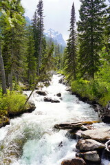 Clear creek brook river at Grand Teton National Park in early summer, Wyoming, USA