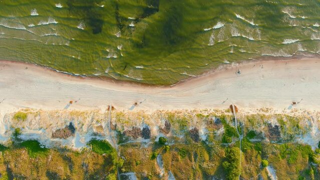 Aerial top-down view of beautiful sandy Curonian Spit beaches, Baltic sea shore