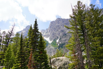 big Snow mountain at Grand Teton National Park in early summer, Wyoming, USA