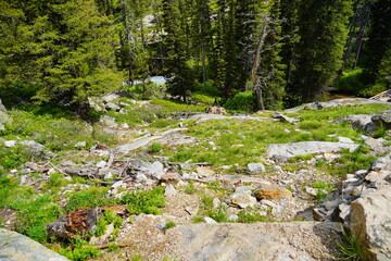 Hiking trail at Grand Teton National Park in early summer, Wyoming, USA
