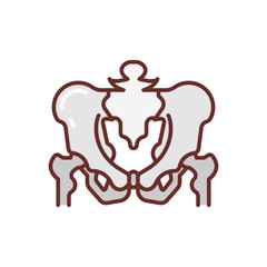 Pelvis icon in vector. Illustration