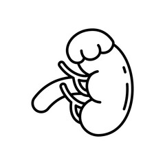 Adrenal Gland icon in vector. Illustration