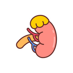Adrenal Gland icon in vector. Illustration