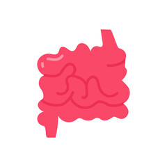 Small Intestine icon in vector. Illustration