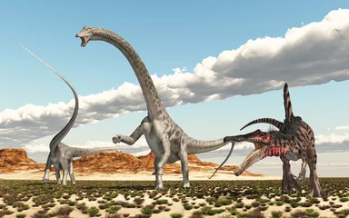 Küchenrückwand glas motiv Dinosaurier Spinosaurus und Diplodocus in einer Wüstenlandschaft © Michael Rosskothen