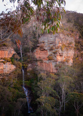 Rocky cliffs in the forest