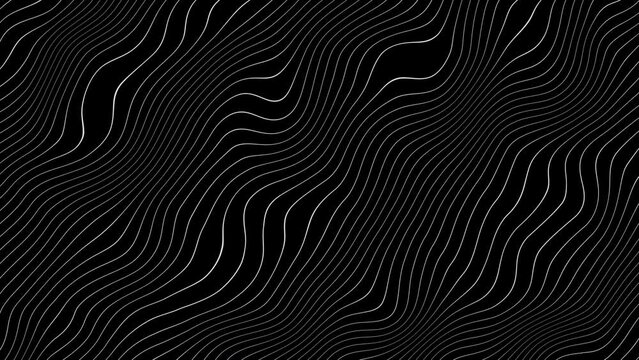 Wavy lines animation background, zebra skin texture 4k video with alpha channel transparent black background