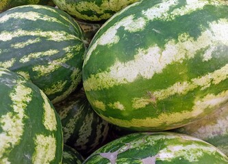  large ripe watermelons at the market