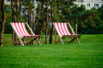 Two sun loungers on a fresh green lawn. A beautiful summer evening. Pine trees in the background.