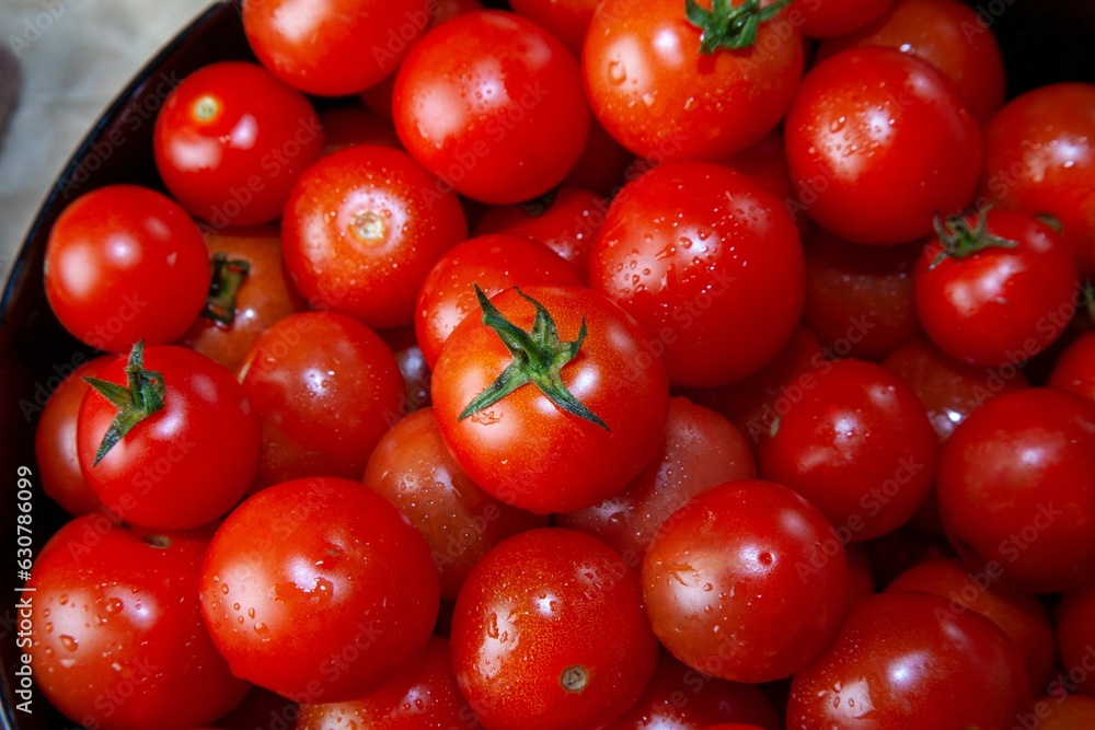 Canvas Prints Bowl filled with a variety of freshly picked, bright red, juicy tomatoes