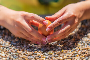 Legend has it that it is easier to erect an egg on the equatorial line. That's why almost every tourist tries to erect an egg on the equatorial marker in Ecuador's Equatorial Park.