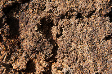 black friable fertile soil. low structured brown background
