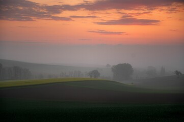 Naklejka na ściany i meble Foggy fields during sunrise in Germany