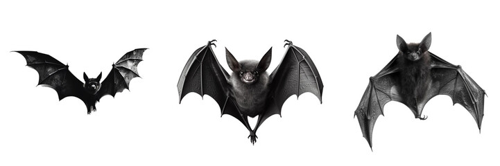 Set of flying black bats isolated on transparent background. Halloween concept. Generative AI. - obrazy, fototapety, plakaty