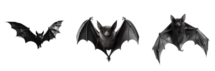Set of flying black bats isolated on transparent background. Halloween concept. Generative AI.