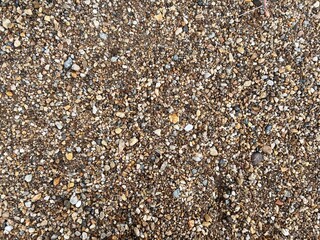 brown stone texture on the beach