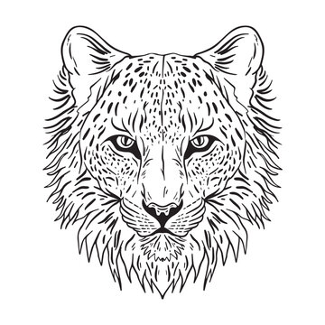 Jaguar Head Outline, good for coloring books, prints, stickers, design resources, logo and more.