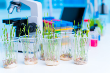 Assessing the growth rate of plants exposed to different levels of CO2