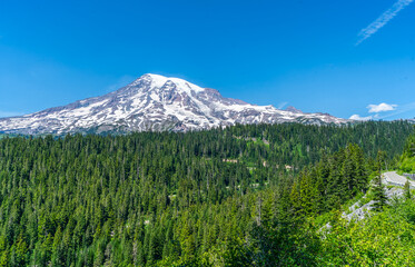 Mount Rainier In Summer 5