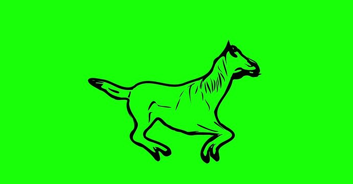 Greencreen video cartoon animal sketches walking and running
