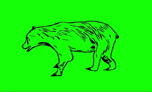 Greencreen video cartoon animal sketches walking and running