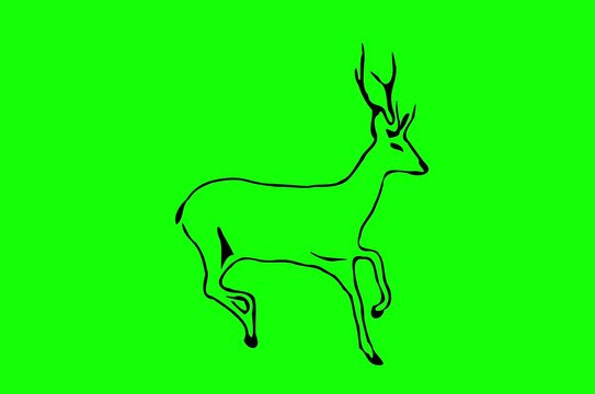 Greencreen video cartoon animal sketches walking and running