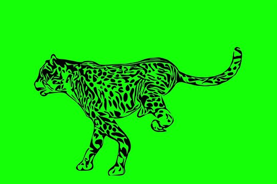Greencreen video cartoon animal sketches walking and running
