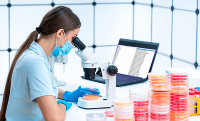 Genotyping: Petri dishes can be used for genotyping studies, which inv