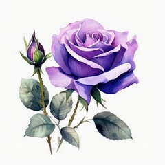 Little Rose Watercolor Illustration Clipart
