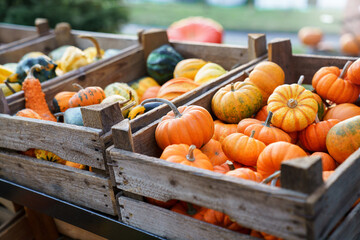 Tiny decorative pumpkins in wooden boxes. Autumn harvest on farm market, outdoor shop for Halloween...