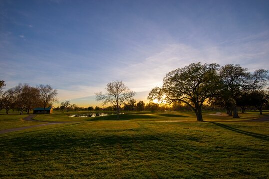 Lush, sun-soaked park with vibrant green grass and trees illuminated by the golden light © John107/Wirestock Creators