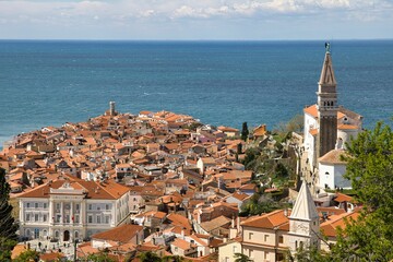 Image captures a breathtaking view of the Slovenian coast near the city of Piran - obrazy, fototapety, plakaty