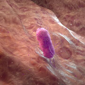 Bakterium 3D Illustration. Multiresistenter Pseudomonas aeroginosa (abstrakt).