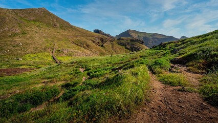 grassy field with trees and mountains in the background - image gratf