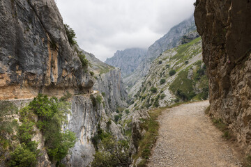 Fototapeta na wymiar Jakobsweg, Spanien, In den Felsen geschlagener Wanderweg